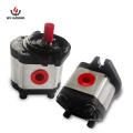 High Pressure Hydraulic Hydraulic Oil Submersible Gear Pump